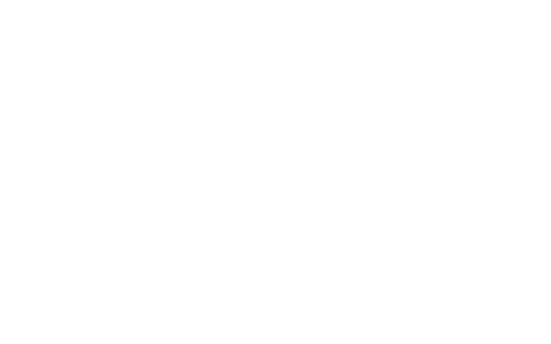 NetFortress Conf. 2025