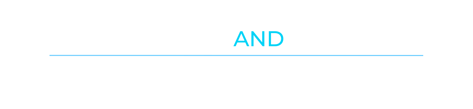 Pricing & Packages