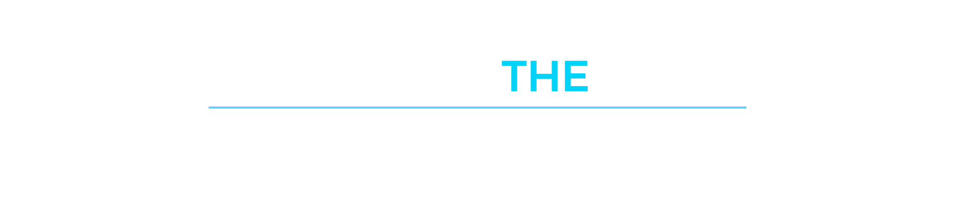 Meet the Team